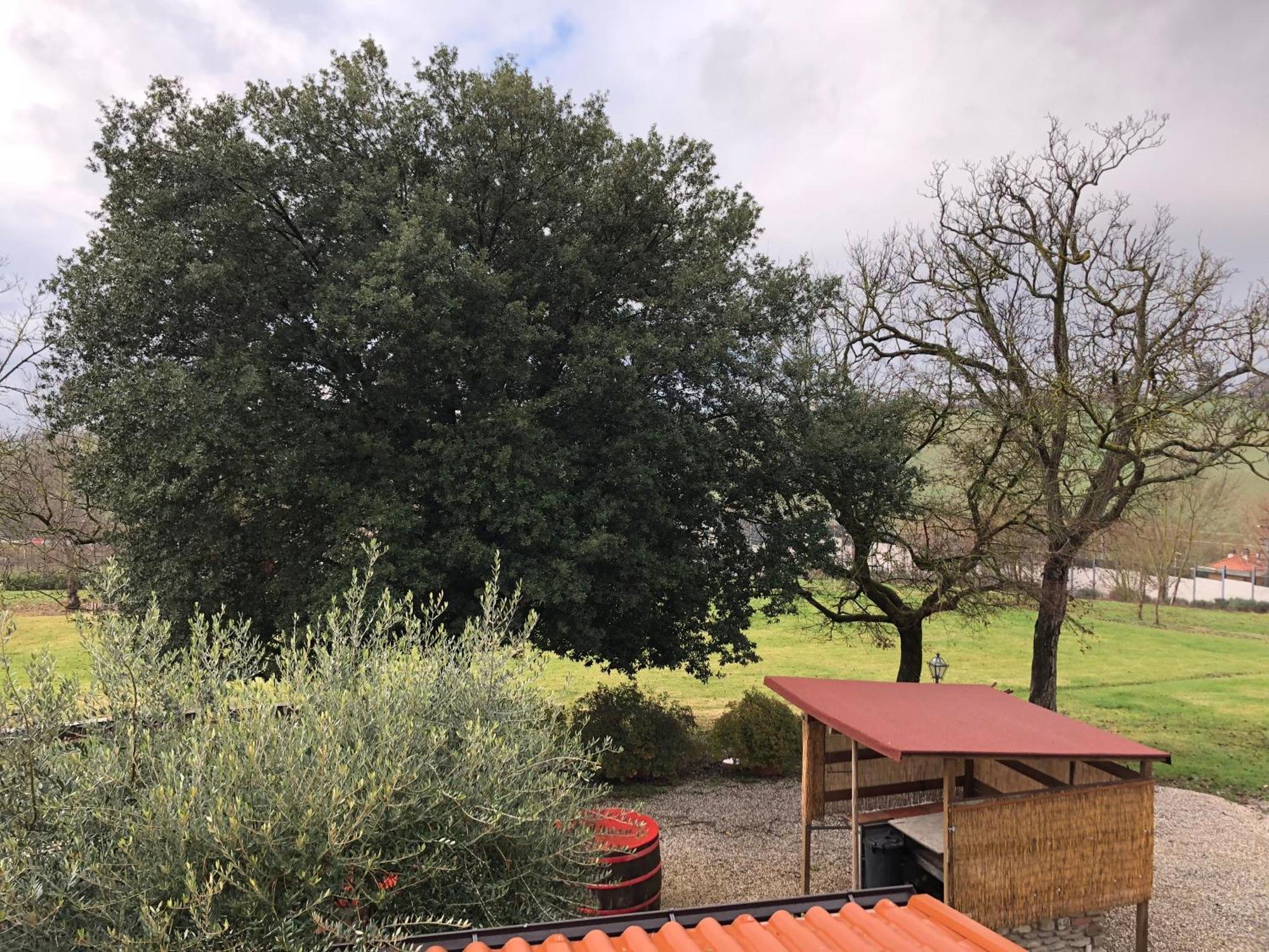 Poggio Savelli Guest House สการ์เปริอา ภายนอก รูปภาพ